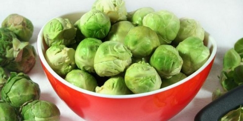 Uzgajanje prokulice na otvorenom